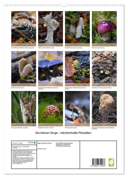 Produktbild: Die kleinen Dinge - m&auml;rchenhafte Pilzwelten (hochwertiger Premium Wandkalender 2026 DIN A2 hoch), Kunstdruck in Hochglanz