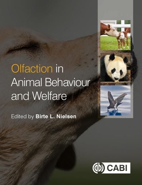 Produktbild: Olfaction in Animal Behaviour and Welfare