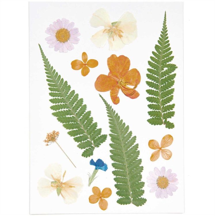 Produktbild: Gepresste Bl&uuml;ten, Mix Set violett orange, 13 Stk