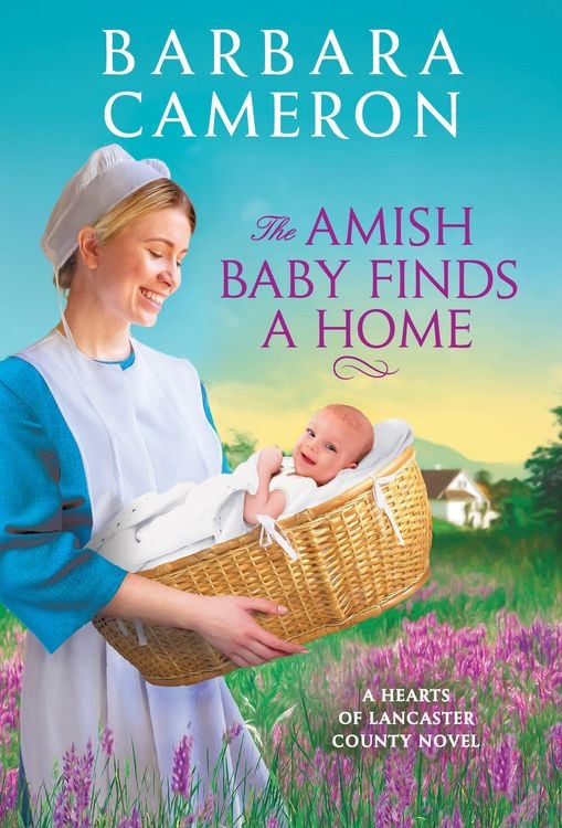 Produktbild: The Amish Baby Finds a Home