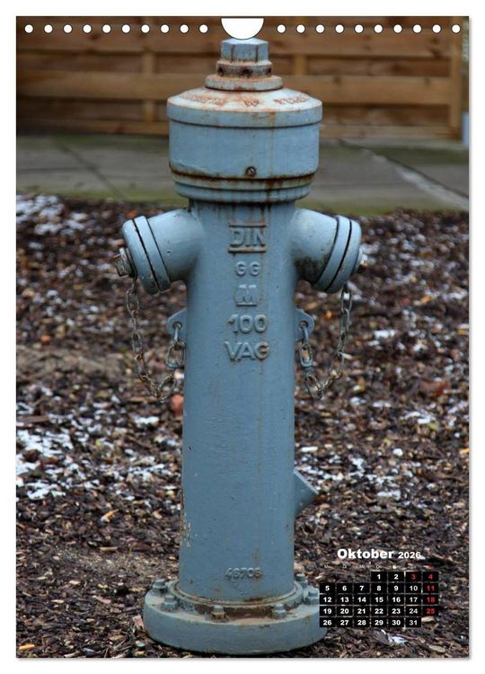 Produktbild: Nostalgie Hydranten (Wandkalender 2026 DIN A4 hoch), CALVENDO Monatskalender