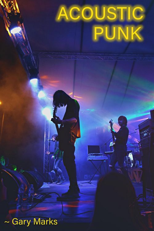 Produktbild: Acoustic Punk