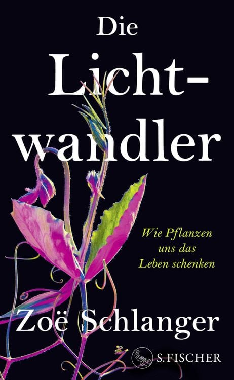 Produktbild: Die Lichtwandler