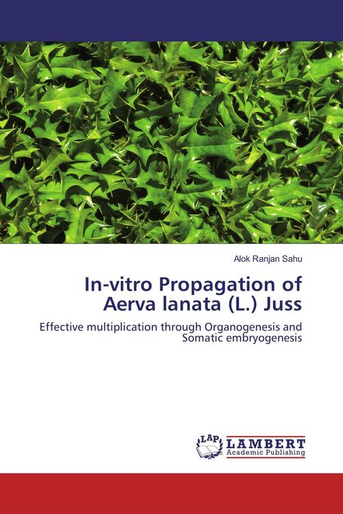 Produktbild: In-vitro Propagation of Aerva lanata (L.) Juss