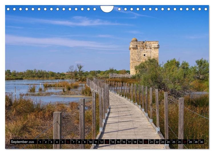 Produktbild: Camargue - Im Land der wei&szlig;en Pferde und schwarzen Stiere (Wandkalender 2026 DIN A4 quer), CALVENDO Monatskalender