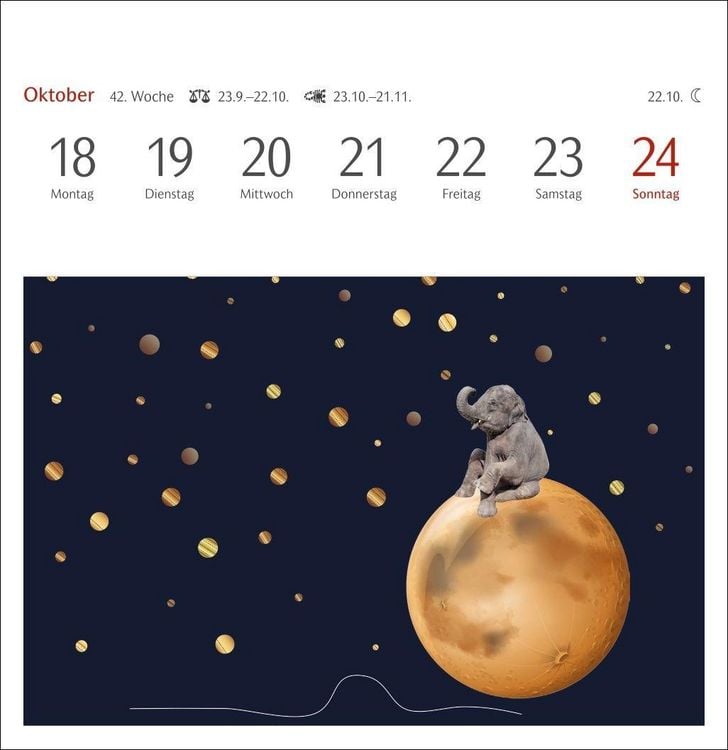 Produktbild: Welches Buch bin ich? Premium-Postkartenkalender 2027 - Literarischer R&auml;tselkalender