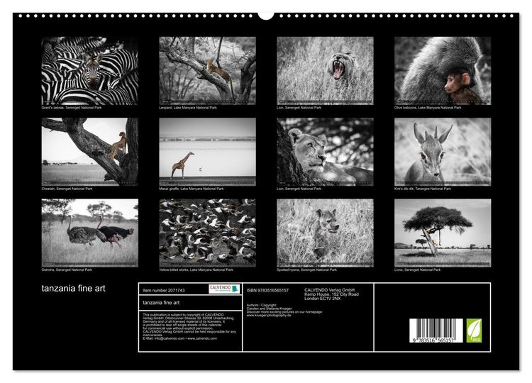 Produktbild: tanzania fine art (High Quality Premium Wall Calendar 2026 DIN A2 landscape),CALVENDO 12 Month Wall Calendar