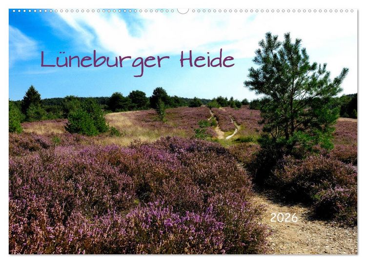 Produktbild: L&uuml;neburger Heide (Wandkalender 2026 DIN A2 quer), CALVENDO Monatskalender