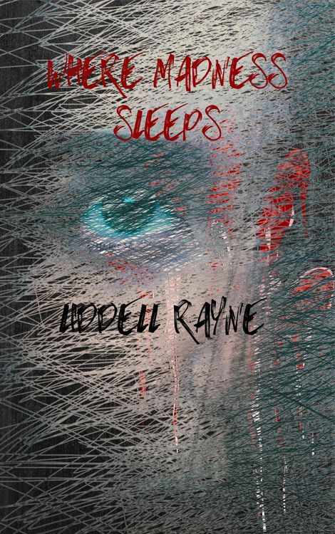 Produktbild: Where Madness Sleeps