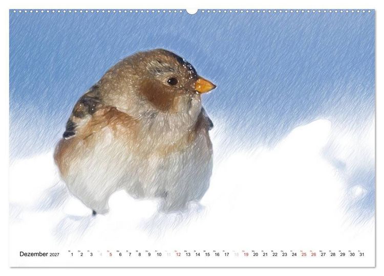 Produktbild: Schottlands Vogelwelt - Ein Portr&auml;t in Zeichnungen (Wandkalender 2027 DIN A2 quer), CALVENDO Monatskalender