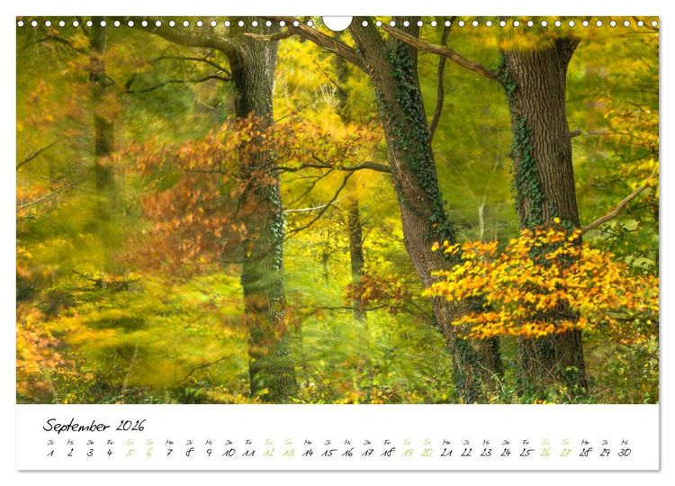 Produktbild: In der Welt der B&auml;ume (Wandkalender 2026 DIN A3 quer), CALVENDO Monatskalender