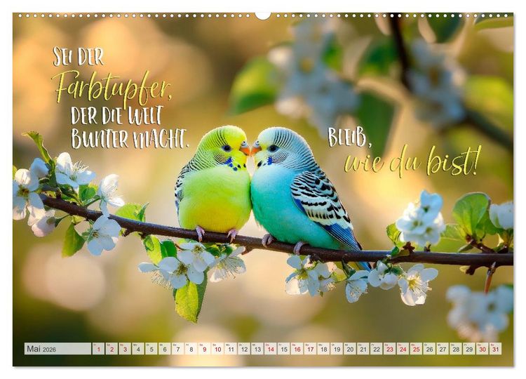 Produktbild: Ein tierisch gutes Jahr (hochwertiger Premium Wandkalender 2026 DIN A2 quer), Kunstdruck in Hochglanz