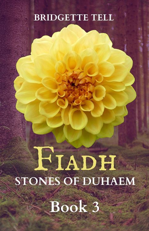 Produktbild: Fiadh: Stones of Duhaem