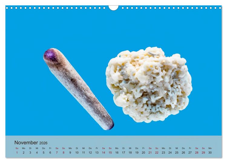 Produktbild: rosaroter korallensand (Wandkalender 2026 DIN A3 quer), CALVENDO Monatskalender