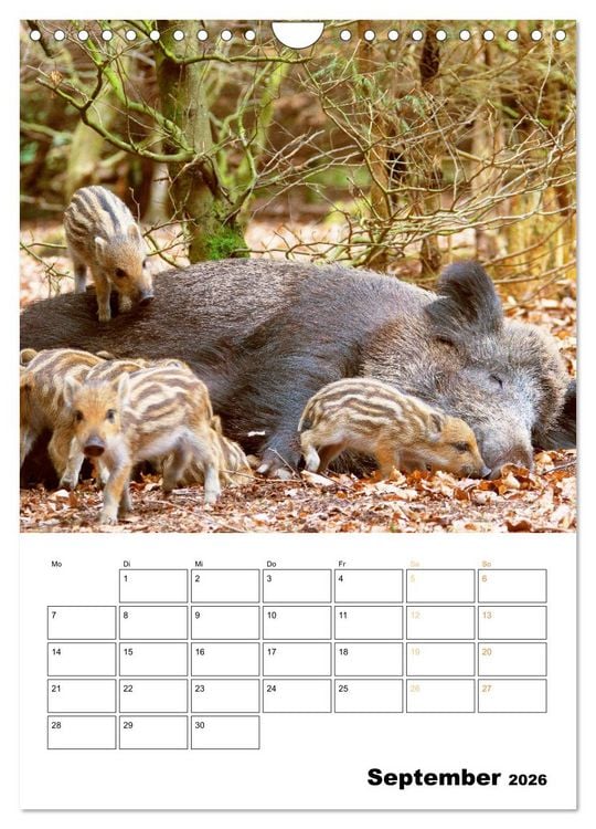 Produktbild: Wilde Tiere: Zuhause in Wald und Flur (Wandkalender 2026 DIN A4 hoch), CALVENDO Monatskalender