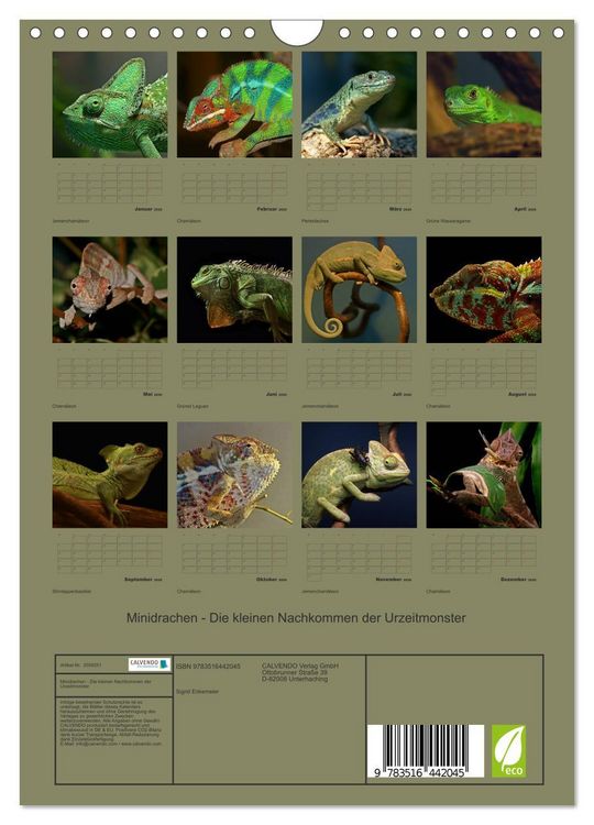 Produktbild: Minidrachen - Die kleinen Nachkommen der Urzeitmonster (Wandkalender 2026 DIN A4 hoch), CALVENDO Monatskalender