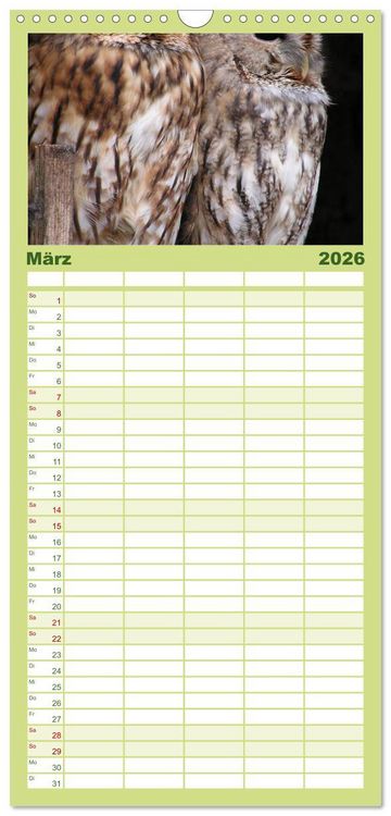 Produktbild: Familienplaner 2026 - Eulen. W&auml;chter der Nacht mit 5 Spalten (Wandkalender, 21 x 45 cm) CALVENDO