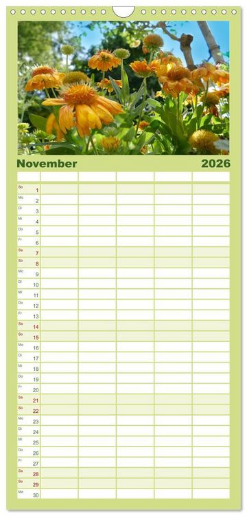 Produktbild: Familienplaner 2026 - Garten von unten. Ein Perspektivwechsel mit 5 Spalten (Wandkalender, 21 x 45 cm) CALVENDO