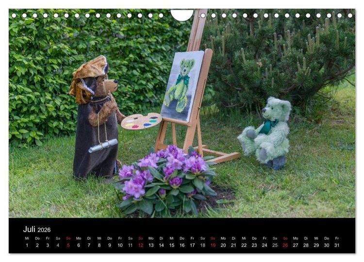 Produktbild: Martin B&auml;ren (Wandkalender 2026 DIN A4 quer), CALVENDO Monatskalender
