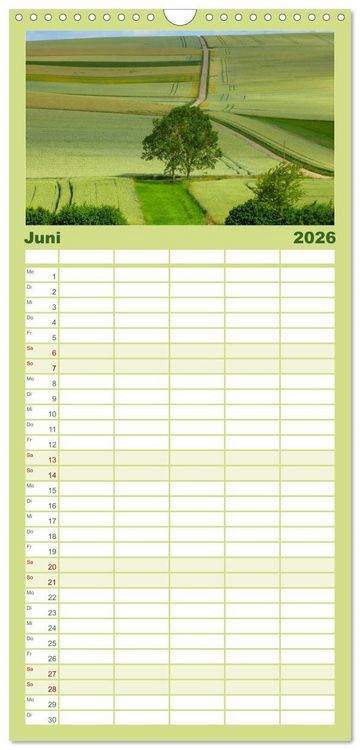 Produktbild: Familienplaner 2026 - Wald und Baum 2026 mit 5 Spalten (Wandkalender, 21 x 45 cm) CALVENDO