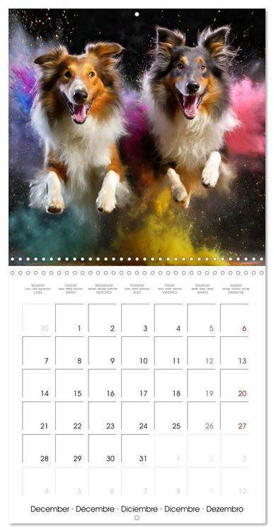 Produktbild: Dynamic Duo - Two Paws, One Leap (Wall Calendar 2026 12 &times; 12 Inch) CALVENDO 12 Month Wall Calendar