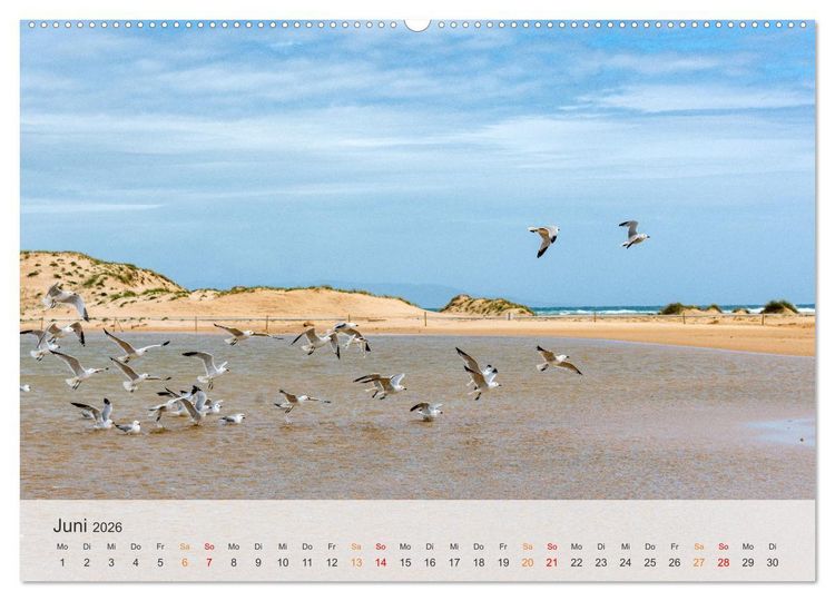 Produktbild: Andalusische Atlantikk&uuml;ste (hochwertiger Premium Wandkalender 2026 DIN A2 quer), Kunstdruck in Hochglanz