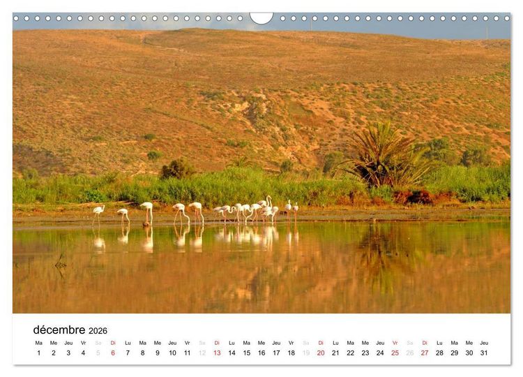 Produktbild: Maroc Au fil de l'eau (Calendrier mural 2026 DIN A3 vertical), CALVENDO calendrier mensuel