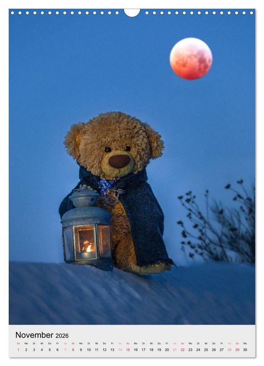 Produktbild: Travelling Teddy liebt es Bunt (Wandkalender 2026 DIN A3 hoch), CALVENDO Monatskalender