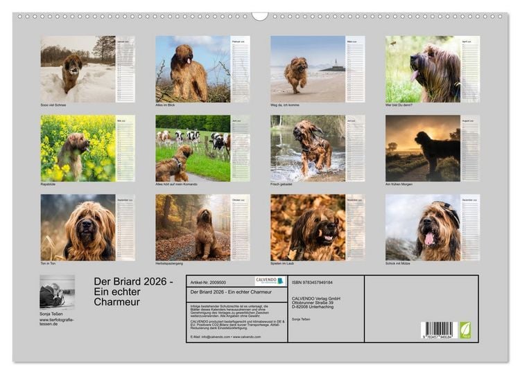 Produktbild: Der Briard 2026 - Ein echter Charmeur (Wandkalender 2026 DIN A2 quer), CALVENDO Monatskalender