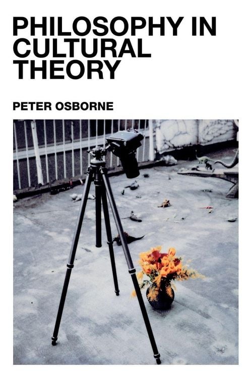 Produktbild: Philosophy in Cultural Theory