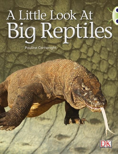 Produktbild: Bug Club Non-fiction Blue (KS1) B/1B A Little Look of Reptiles 6-pack
