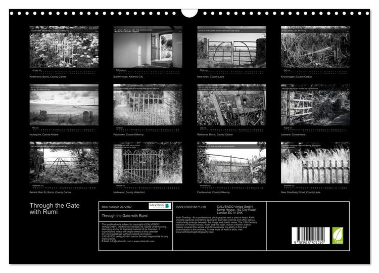 Produktbild: Through the Gate with Rumi (Wall Calendar 2026 DIN A3 landscape), CALVENDO 12 Month Wall Calendar