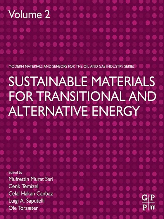 Produktbild: Sustainable Materials for Transitional and Alternative Energy