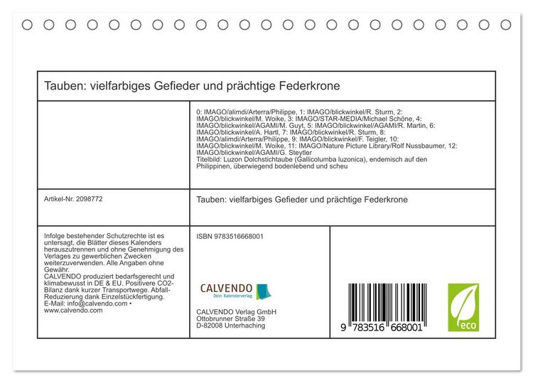 Produktbild: Tauben: vielfarbiges Gefieder und pr&auml;chtige Federkrone (Tischkalender 2026 DIN A5 quer), CALVENDO Monatskalender
