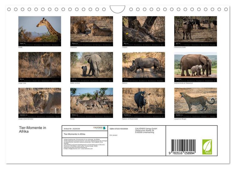 Produktbild: Tier-Momente in Afrika (Wandkalender 2026 DIN A4 quer), CALVENDO Monatskalender