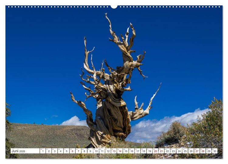 Produktbild: Juwelen der Sierra Nevada (Wandkalender 2026 DIN A2 quer), CALVENDO Monatskalender