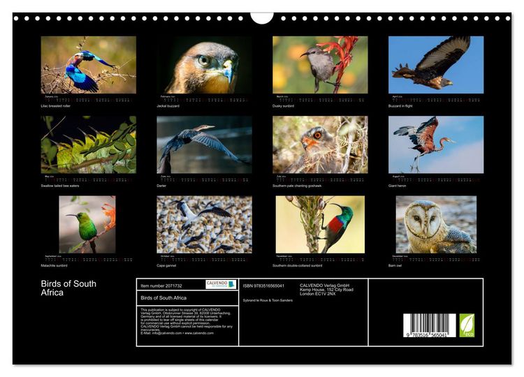 Produktbild: Birds of South Africa (Wall Calendar 2026 DIN A3 landscape), CALVENDO 12 Month Wall Calendar