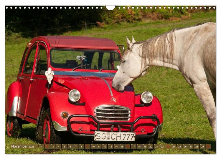 Produktbild: Citro&euml;n 2CV - Ente rot (Wandkalender 2025 DIN A3 quer), CALVENDO Monatskalender