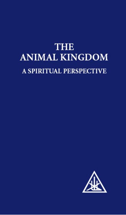 Produktbild: Animal Kingdom