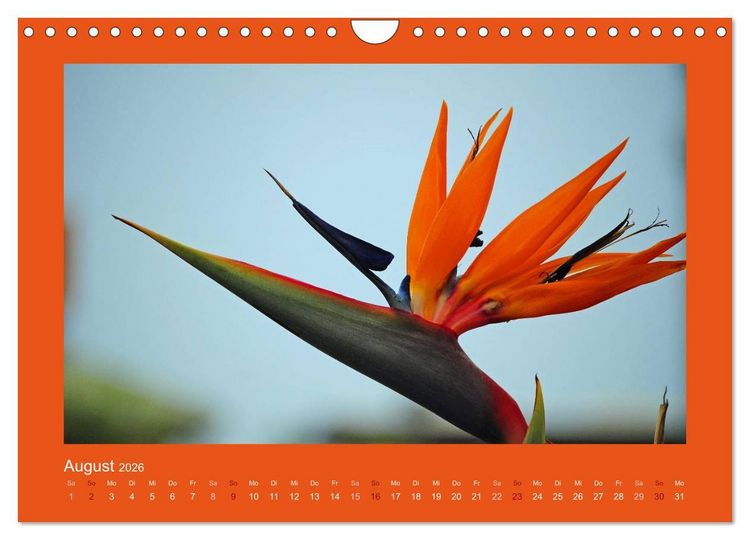 Produktbild: Aloha Bl&uuml;tenzauber aus Hawaii (Wandkalender 2026 DIN A4 quer), CALVENDO Monatskalender