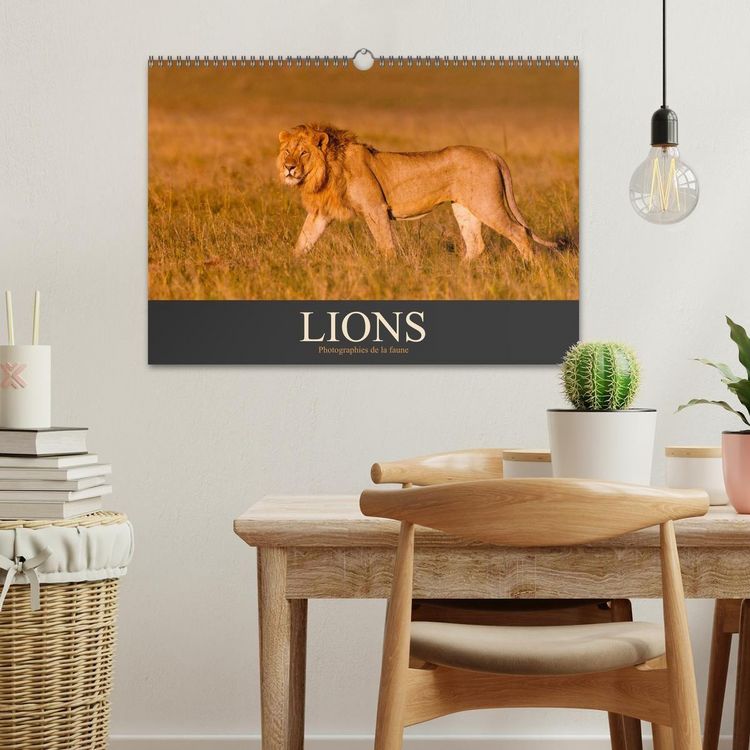 Produktbild: Lions &ndash; Photographies de la faune (Calendrier mural 2027 DIN A3 vertical), CALVENDO calendrier mensuel