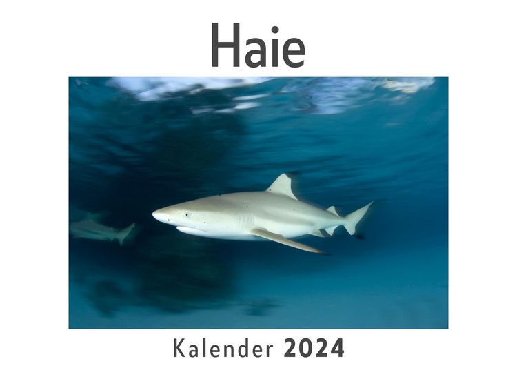 Produktbild: Haie (Wandkalender 2024, Kalender DIN A4 quer, Monatskalender im Querformat mit Kalendarium, Das perfekte Geschenk)
