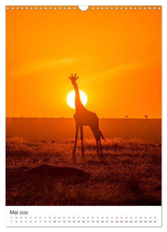 Produktbild: Giraffe - Bemerkenswerte Tiere. (Wandkalender 2026 DIN A3 hoch), CALVENDO Monatskalender