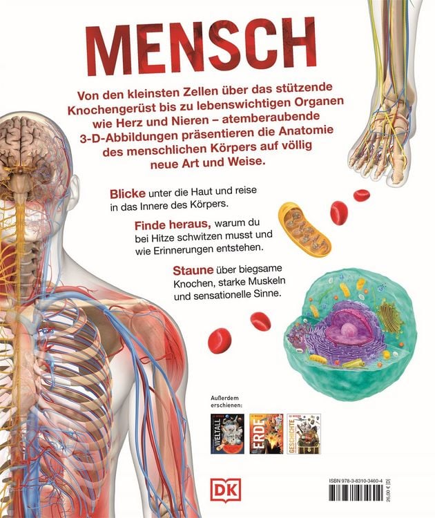 Produktbild: DK Wissen. Mensch