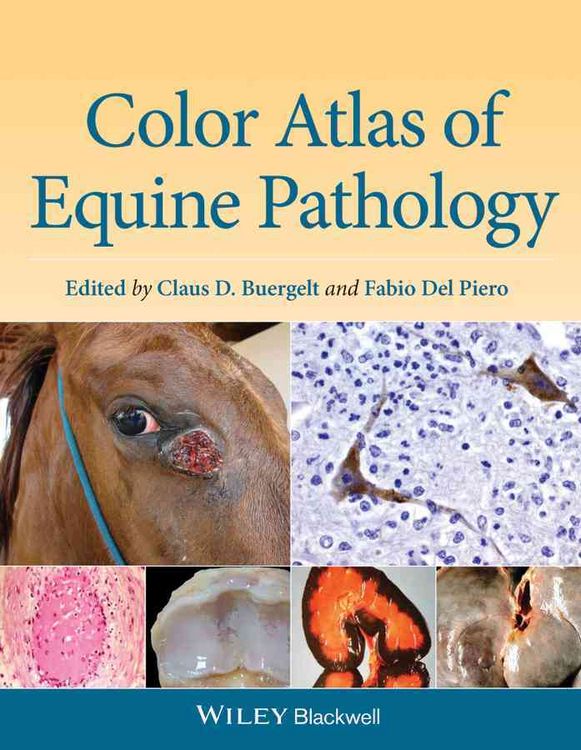 Produktbild: Color Atlas of Equine Pathology