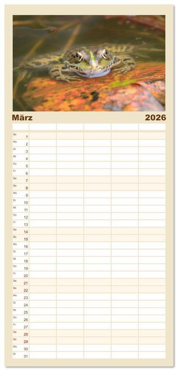 Produktbild: Familienplaner 2026 - Frosch Karl, Hans und Max im Einklang der Natur mit 5 Spalten (Wandkalender, 21 x 45 cm) CALVENDO
