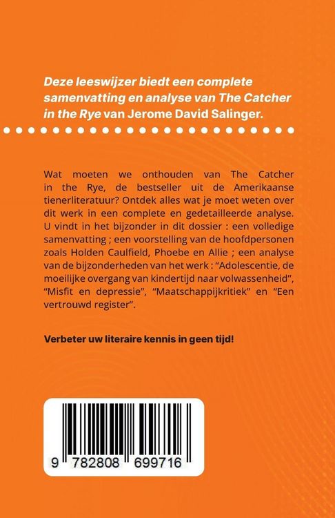 Produktbild: The Catcher in the Rye van Jerome David Salinger (Boekanalyse)