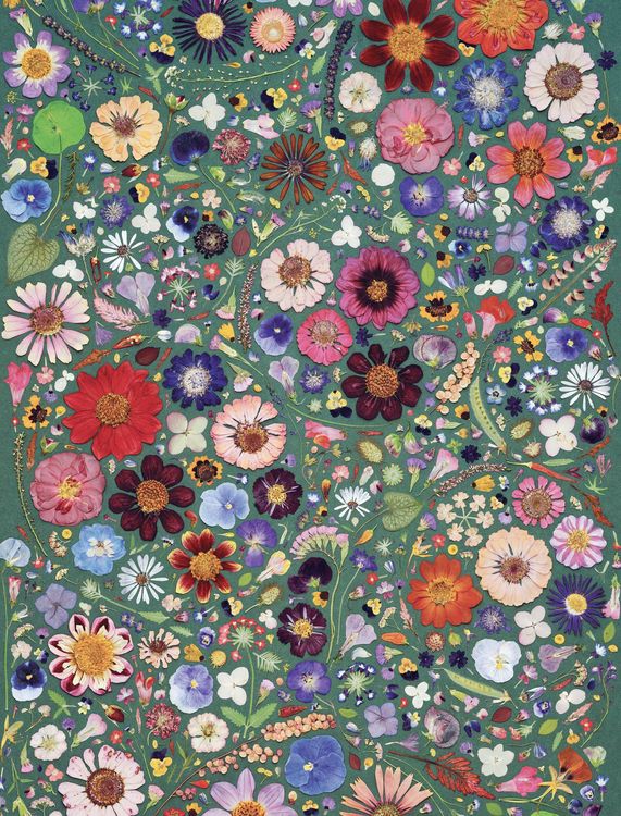 Produktbild: Beautiful Blooms Wrapping Paper Book