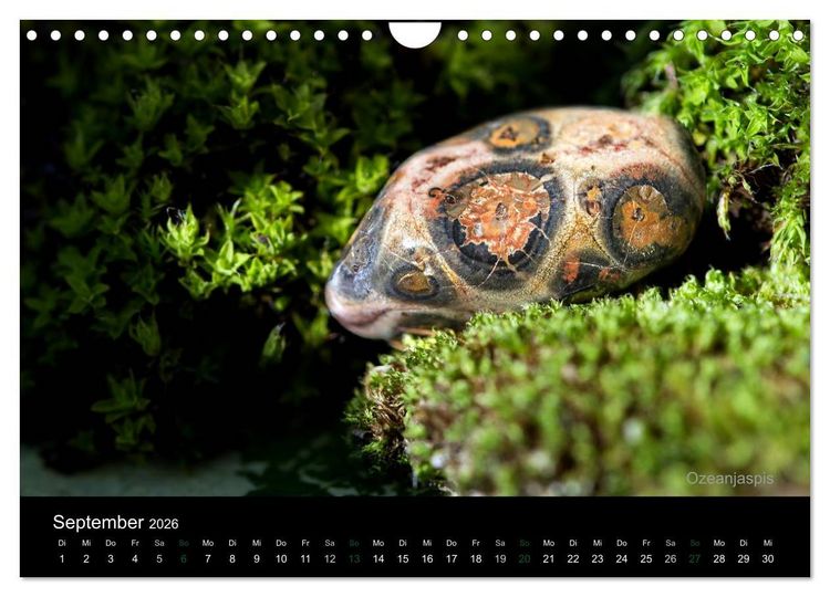 Produktbild: Edelsteine. Wunder der Natur (Wandkalender 2026 DIN A4 quer), CALVENDO Monatskalender