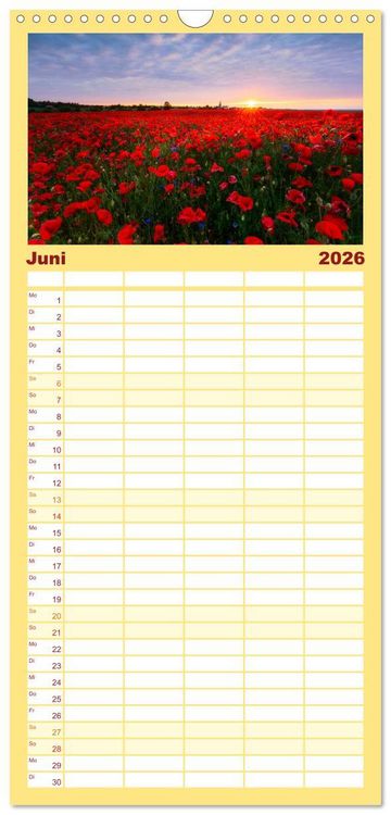 Produktbild: Familienplaner 2026 - Sonnige Augenblicke mit 5 Spalten (Wandkalender, 21 x 45 cm) CALVENDO